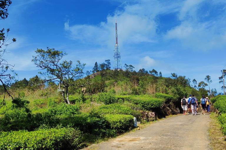 Pekoe Trail Stage 15 – Makulella to Ella Scenic Hiking Experience in Sri Lanka