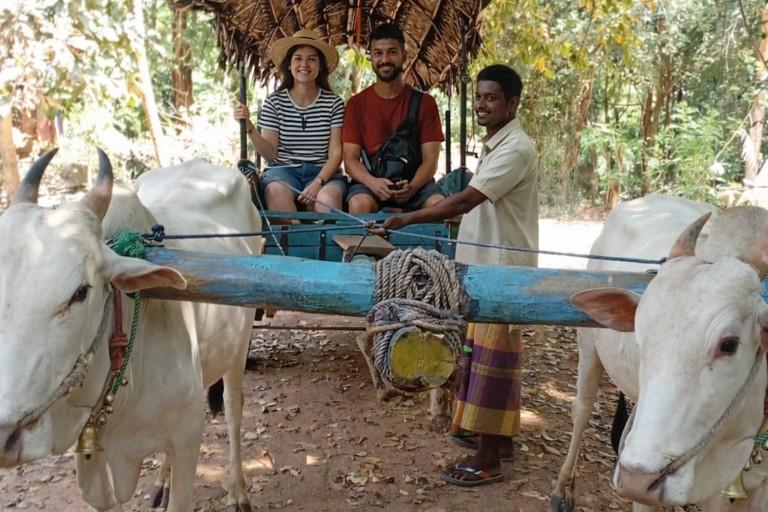 Explore Hiriwaduna Village Walk – Private Guided Tour with Local Experience